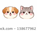 Cute dog and cat 138677962