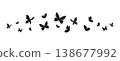 Butterflies silhouette flying on white background. 138677992