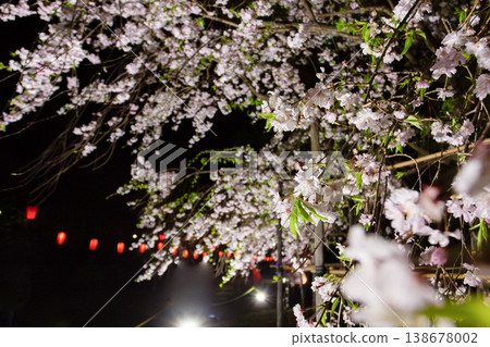 Blurred cherry blossoms at night and the light of lanterns (a spring scene, with a Japanese atmosphere) Blurred cherry blossoms at night and the light of lanterns (a spring scene, with a Japanese atmosphere) 138678002