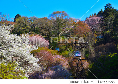 春天，櫻花，吉野山索道 138678090