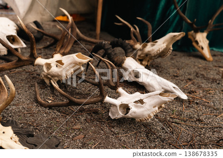 Animal skulls and antlers at Easter Knight Festival market in Berlin 138678335