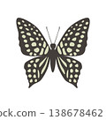 Vector butterfly graphium agamemnon. Vector illustration isolated on white background. 138678462