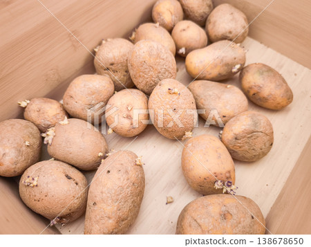 Sprouting potatoes resting in wooden box, ready for planting Sprouting potatoes resting in wooden box, ready for planting 138678650