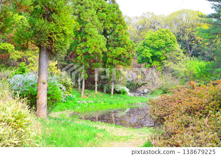 春天的鶴見綠地公園（大阪），樹木繁茂。 138679225