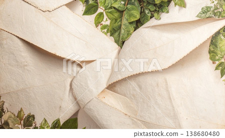 the dried plants on the white paper background 138680480