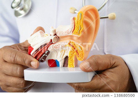 Asian doctor holding human ear model to learn and treat hearing loss in patient. 138680500
