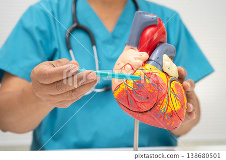 Cardiovascular disease CVD, Asian doctor holding human anatomy model for learn and treat heart disease. 138680501