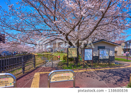 春天,從東京稻木市矢野口橋(東京都道124號)附近眺望三澤川濱水公園入口。 春天,從東京稻木市矢野口橋(東京都道124號)附近眺望三澤川濱水公園入口。 138680836