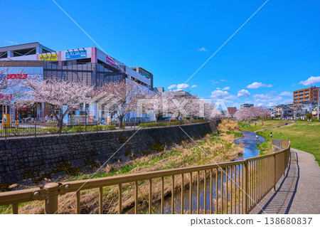 從東京稻木市三澤川濱水公園眺望三澤川櫻花走廊 從東京稻木市三澤川濱水公園眺望三澤川櫻花走廊 138680837