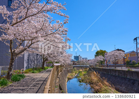View of the eastern side of Misawa River Sakura Street (including Suisha Bridge) from near Kameyama Bridge in Higashinaganuma, Inagi City, Tokyo. View of the eastern side of Misawa River Sakura Street (including Suisha Bridge) from near Kameyama Bridge in Higashinaganuma, Inagi City, Tokyo. 138680921