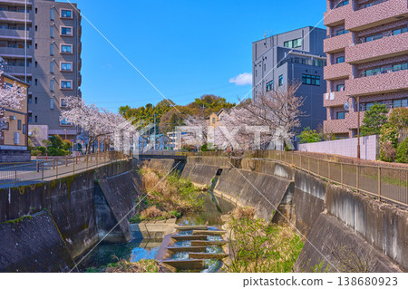從東京稻城市東賀沼水石橋附近眺望三澤川櫻花街西側（含龜山橋）。 138680923