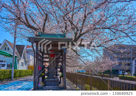 春天，東京稻木市三澤川櫻花街欄桿橋附近的地藏菩薩和櫻花走廊。 138680925