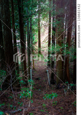 [Maniwa City, Okayama Prefecture] Kayabe Shrine_Forest 138681432