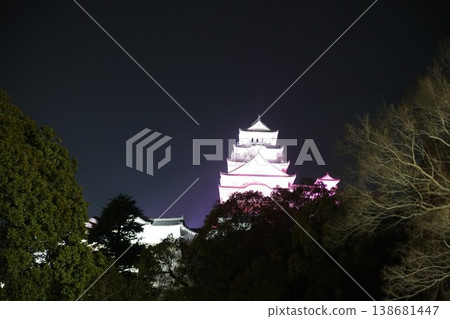 Himeji castle   138681447