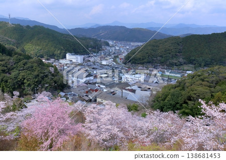 高知縣佐川市牧野公園的櫻花與城鎮風光 高知縣佐川市牧野公園的櫻花與城鎮風光 138681453