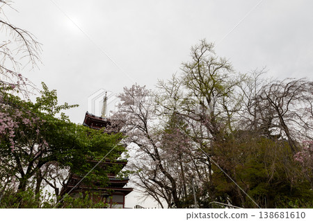 本道寺的春景：五重塔 138681610