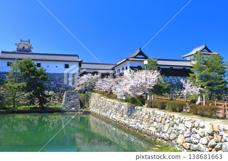 [Ehime Prefecture] Imabari Castle's Masugata Koguchi (square gate) with cherry blossoms in full bloom 138681663