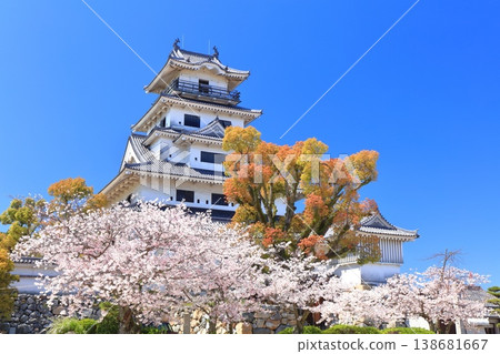 [Ehime Prefecture] Imabari Castle keep with cherry blossoms in full bloom 138681667