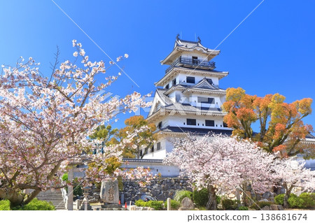[Ehime Prefecture] Imabari Castle keep with cherry blossoms in full bloom 138681674