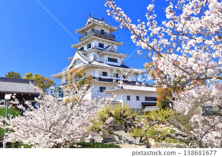 [Ehime Prefecture] Imabari Castle keep with cherry blossoms in full bloom 138681677