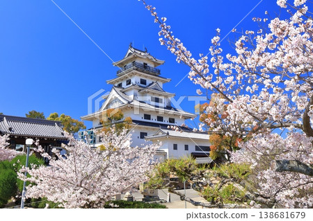 【愛媛郡】今治城天守閣櫻花盛開 138681679