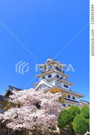 [Ehime Prefecture] Imabari Castle keep with cherry blossoms in full bloom 138681694