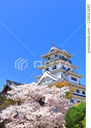 [Ehime Prefecture] Imabari Castle keep with cherry blossoms in full bloom 138681695