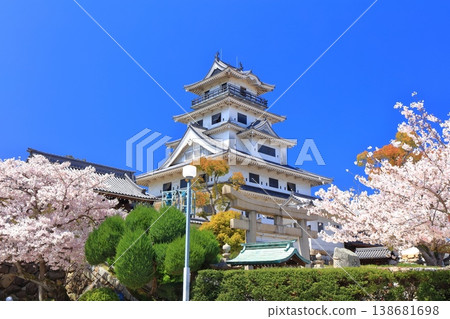 [Ehime Prefecture] Imabari Castle keep with cherry blossoms in full bloom 138681698