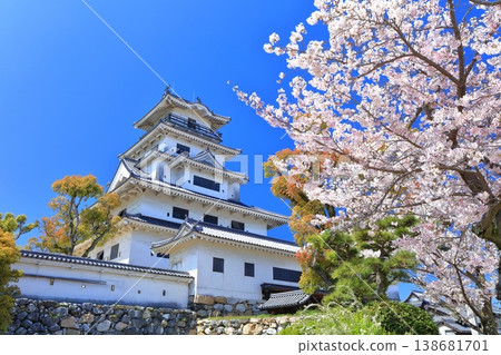 [Ehime Prefecture] Imabari Castle keep with cherry blossoms in full bloom 138681701