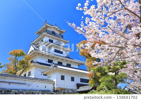 [Ehime Prefecture] Imabari Castle keep with cherry blossoms in full bloom 138681702