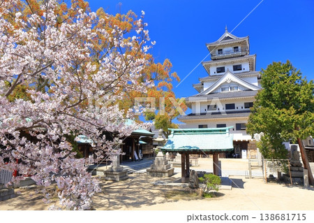 [Ehime Prefecture] Imabari Castle keep with cherry blossoms in full bloom 138681715