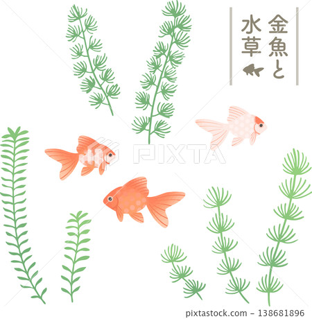 金魚與水生植物插圖套裝,扁平向量圖 | 水下/日式觀賞魚素材(清涼/夏季) 金魚與水生植物插圖套裝,扁平向量圖 | 水下/日式觀賞魚素材(清涼/夏季) 138681896