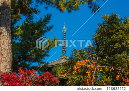 UNESCO World Heritage Site: Ikaruga Village, Nara Prefecture; National Treasure: Horyu-ji Temple; Prince Shotoku 138682252