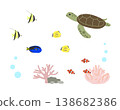 Fish and sea turtles swimming in the ocean 138682386