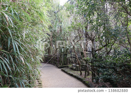 A tranquil scene of a path surrounded by greenery A tranquil scene of a path surrounded by greenery 138682880