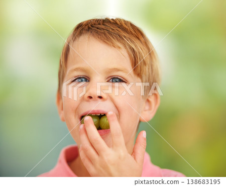 Boy, child or portrait grapes in mouth for health nutrition snack, lunch dessert or vitality development. Male, kid or fruit face for happy eating outdoor summer food, nature picnic or fibre minerals Boy, child or portrait grapes in mouth for health nutrition snack, lunch dessert or vitality development. Male, kid or fruit face for happy eating outdoor summer food, nature picnic or fibre minerals 138683195