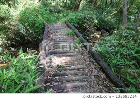 綠色包圍的道路 綠色包圍的道路 138683214