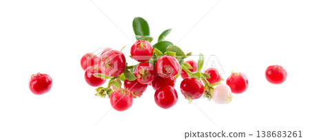 Fresh cowberry berries with leaves, isolated on white background. Ripe cranberry, cowberry, lingonberry. Clipping path. Fresh cowberry berries with leaves, isolated on white background. Ripe cranberry, cowberry, lingonberry. Clipping path. 138683261
