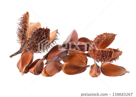 Beechnuts seeds isolated on white background. European beech nuts or Fagus sylvatica. Clipping path. 138683267