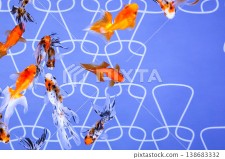 Goldfish (Ryukin, Ranchu, etc.) Goldfish (Ryukin, Ranchu, etc.) 138683332