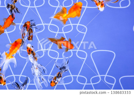 Goldfish (Ryukin, Ranchu, etc.) 138683333