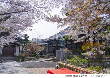 京都，隅染寺，櫻花 138683436
