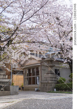 京都,隅染寺,櫻花 京都,隅染寺,櫻花 138683446