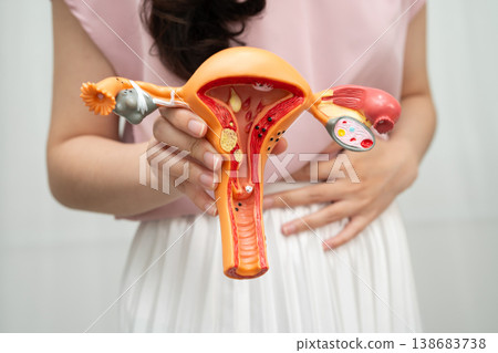 Uterus, Asian woman holding human anatomy model. 138683738