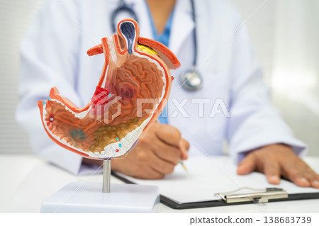 Stomach disease, doctor with anatomy model for study diagnosis and treatment in hospital. 138683739