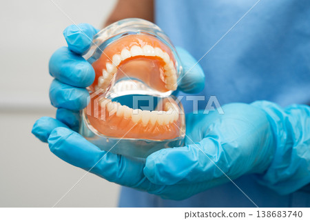 Asian dentist holding dental teeth model for learn about dentistry. 138683740