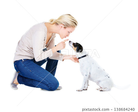 Woman, training and studio with dog or jack russell for silence, learning and care by white background. Girl, animal or pet puppy with teaching, discipline and loyalty on floor for domestic education 138684240