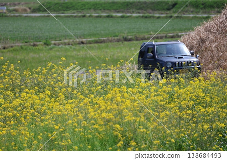 Rapeseed flower field and car Rapeseed flower field and car 138684493