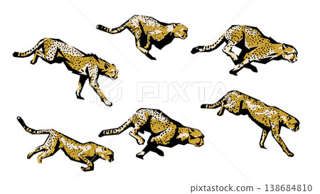 A series of motion images of a cheetah running at full speed (cutout-style silhouette vector). A series of motion images of a cheetah running at full speed (cutout-style silhouette vector). 138684810