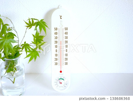 溫度計、濕度計和綠色 溫度計、濕度計和綠色 138686368